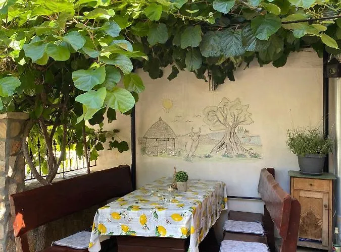 Daire Elsa Galižana